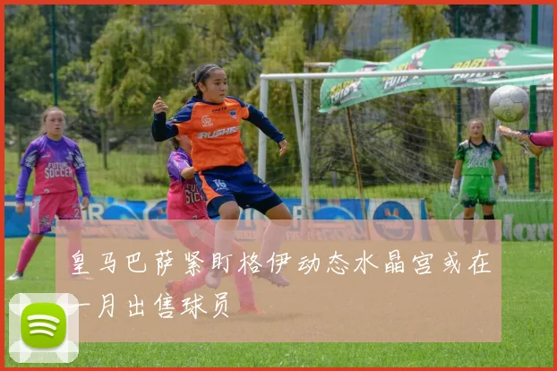 皇马巴萨紧盯格伊动态水晶宫或在一月出售球员