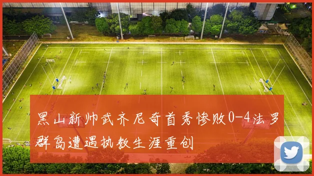 黑山新帅武齐尼奇首秀惨败0-4法罗群岛遭遇执教生涯重创