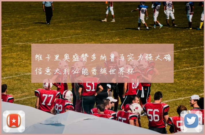 维卡里奥盛赞多纳鲁马实力强大确信意大利必能晋级世界杯