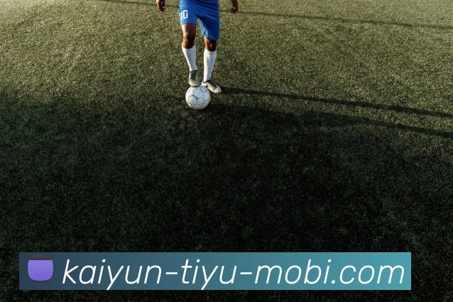 开云体育服务体系